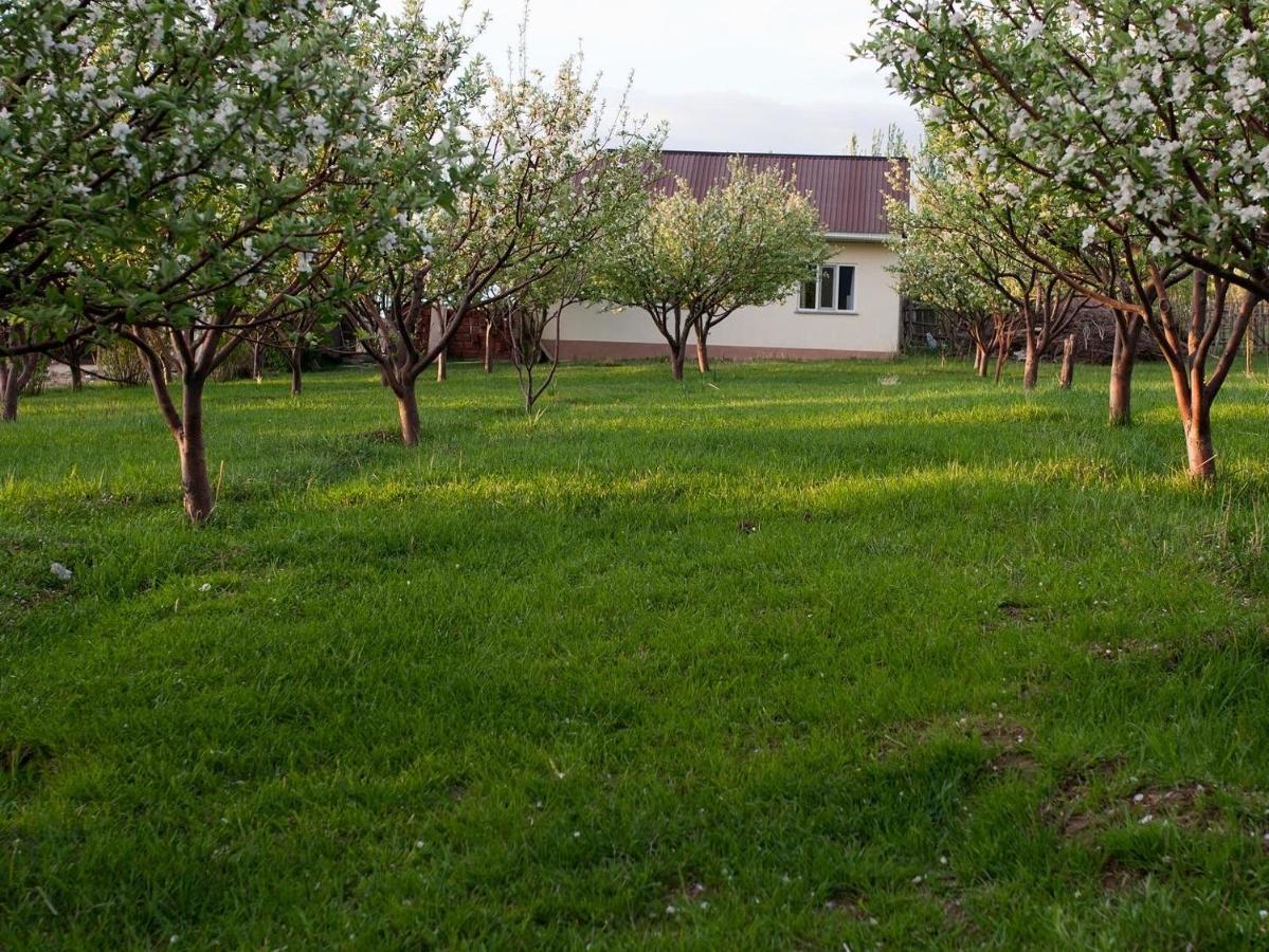 Barskoon Guest House Buitenkant foto